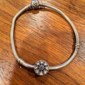 Pandora Shimmering Medallion Charm 791974NPRMX